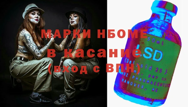 ГАЛЛЮЦИНОГЕННЫЕ ГРИБЫ Вязники