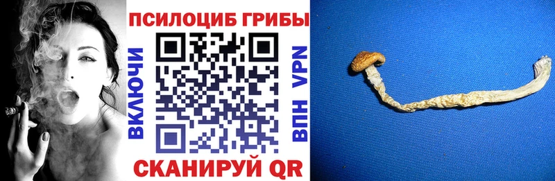 Псилоцибиновые грибы прущие грибы MEGA ONION Елизово